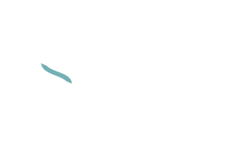 CS Art Management